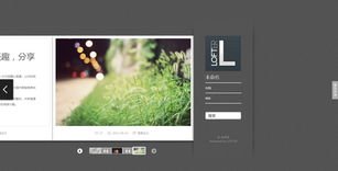 網(wǎng)頁設(shè)計與開發(fā) 以網(wǎng)站核心內(nèi)容為中心的藝術(shù)與科學(xué)